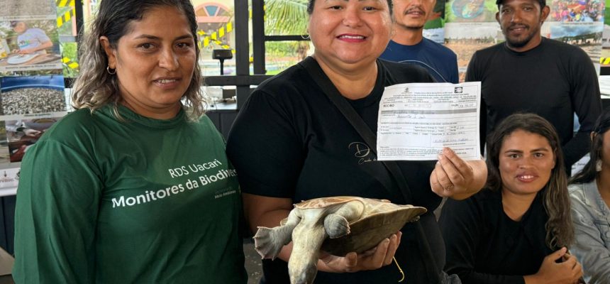 O Amazonas vive um momento histórico para a bioeconomia e o desenvolvimento sustentável. Na sexta-feira (09/05), o município de Carauari (a 788 quilômetros de Manaus) promoveu a primeira venda legalizada de quelônios manejados por comunidades tradicionais.