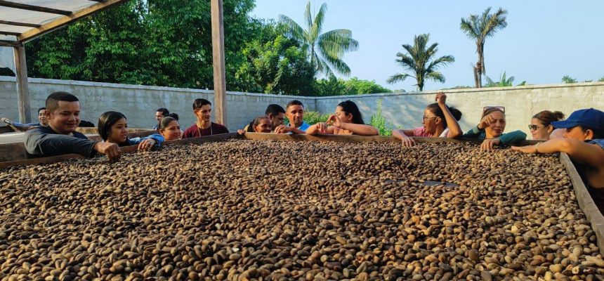 O Instituto de Desenvolvimento Agropecuário e Florestal Sustentável do Estado do Amazonas (Idam) promoveu na quinta e nesta sexta-feira (28 e 29), o curso “Boas Práticas na Extração de Óleo de Andiroba”, com o objetivo de capacitar mais de 40 trabalhadores rurais de associações de produtores de Carauari (distante 788 quilômetros de Manaus).